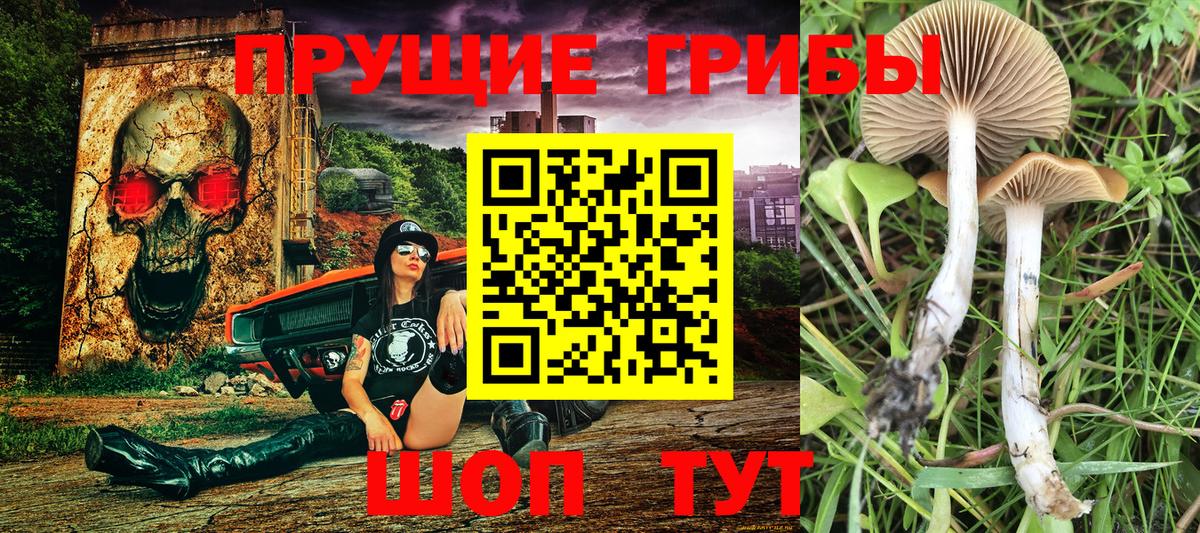 закладка  Галлюциногенные грибы мухоморы  Вход с VPN  Донецк 